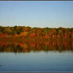 autumnreflection